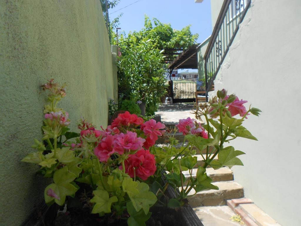 Irmak Family Pension & Apartments Eceabat Pokój zdjęcie